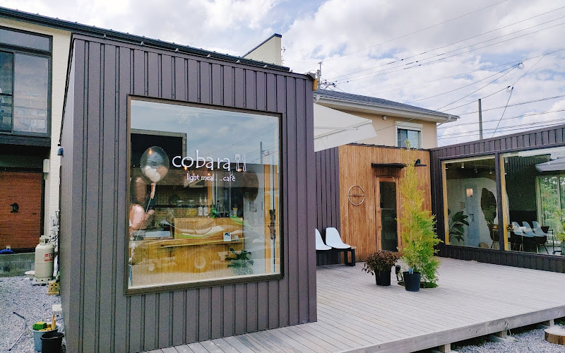 light meal...café cobara