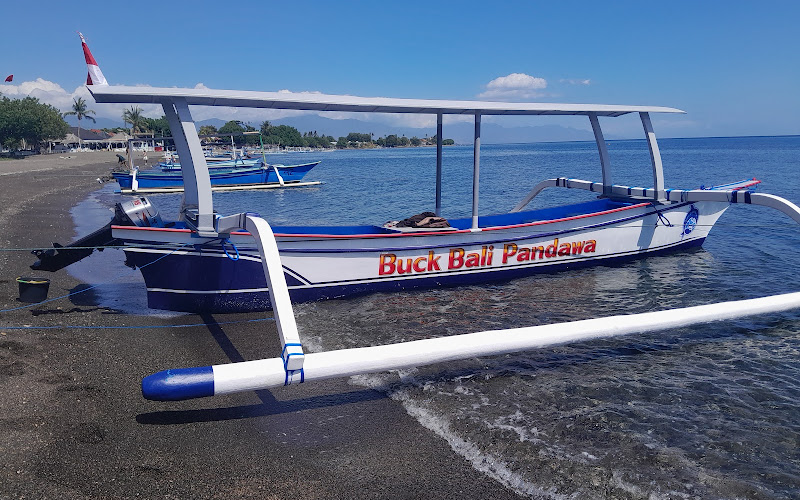 Lovina Dolphin Marine | Dolphin and Snorkeling