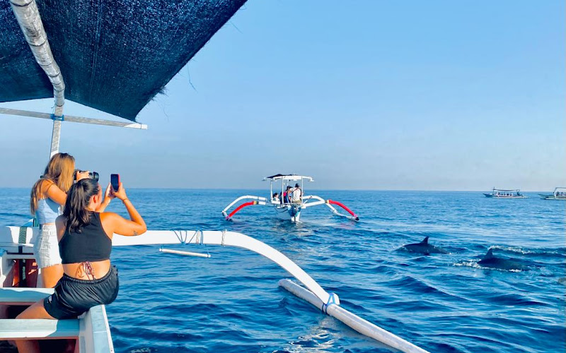 wisata lumba lumba lovina_dolphin35