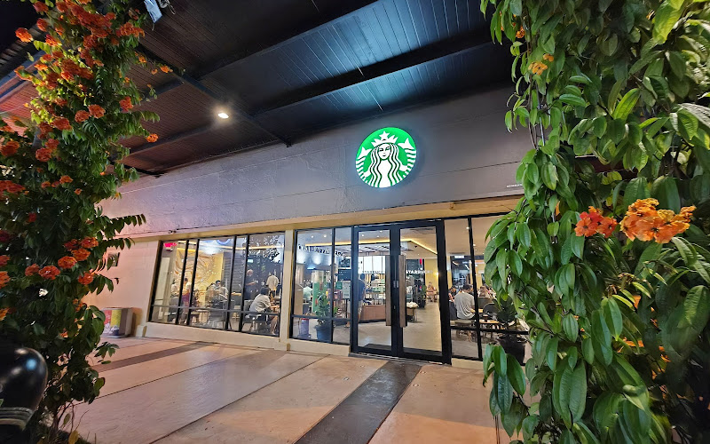 Starbucks Coffee Palo 101