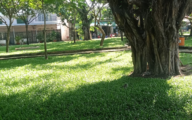 Công Viên đường 59B