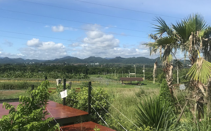 ลานวิ่ง โคกหนองนา โมเดล