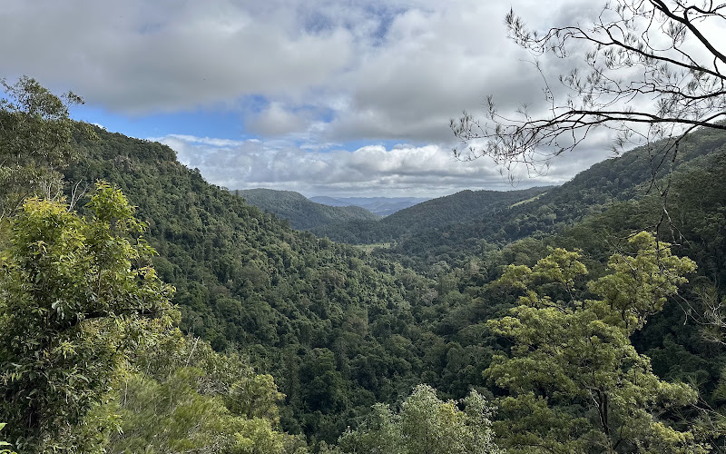 Kondalilla Falls