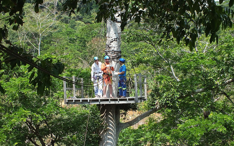 Ziplinemax
