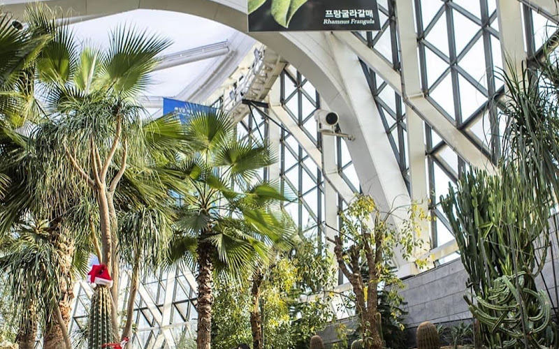 南山戶外植物園