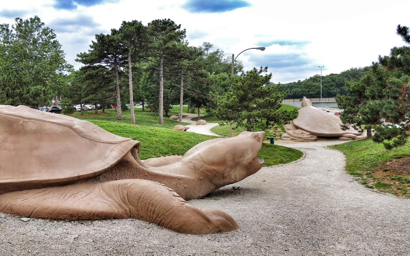 Turtle Playground Sculptures