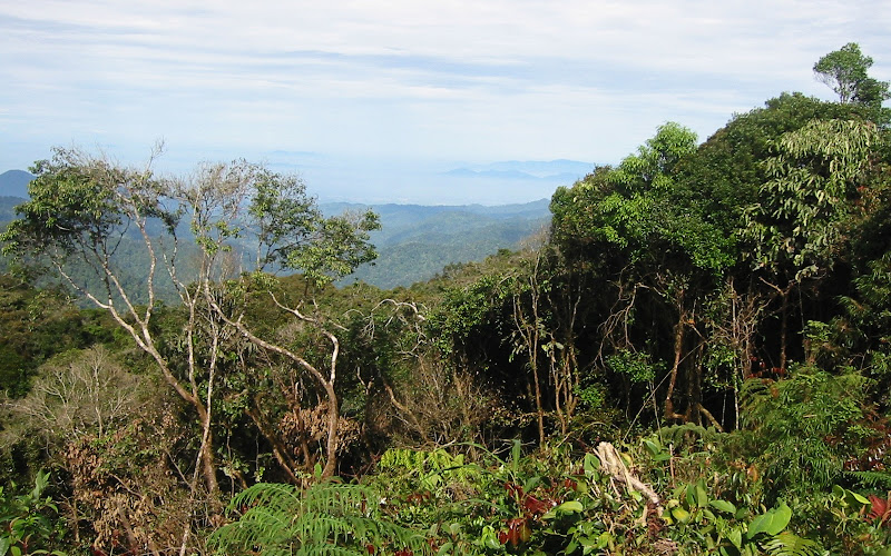 Trail 10 Lookout Point