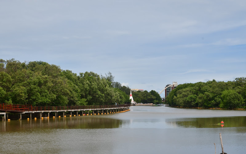 Mangrove Forest Park, Bridge and Walkway on Water