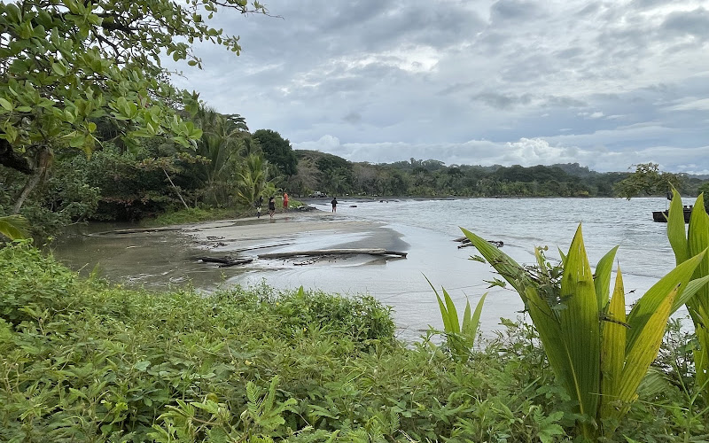 Playa Puerto Viejo