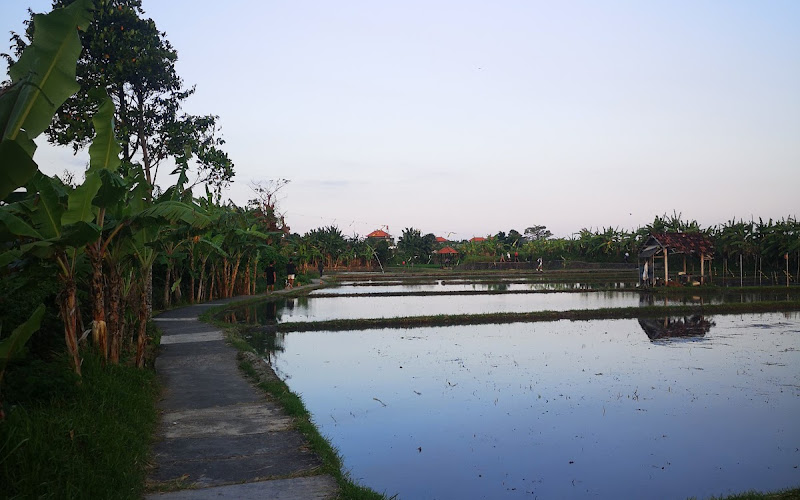 Wisata Edukasi Subak Teba Majalangu