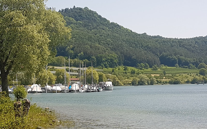 ボートマン＝ルートヴィヒスハーフェン・ウーファープロムナーデ