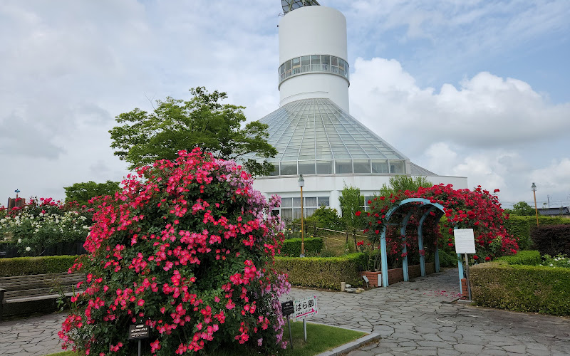 다카오카 동화의 숲