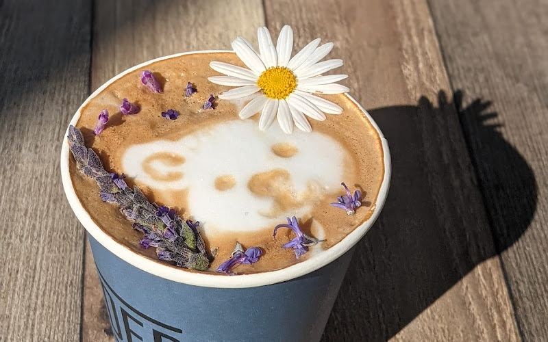 Grounded Coffee House