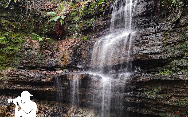 Old Roar Gill