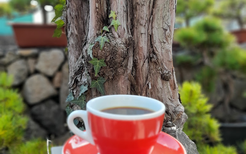 에브리데이크리스마스카페