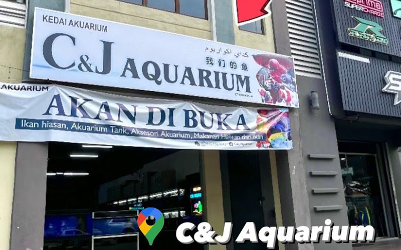 C＆J Aquarium