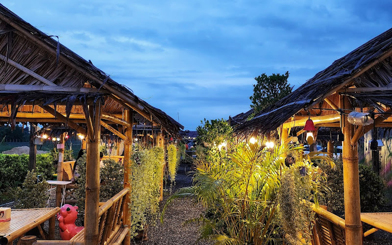 ทุ่งสายฮ้าง