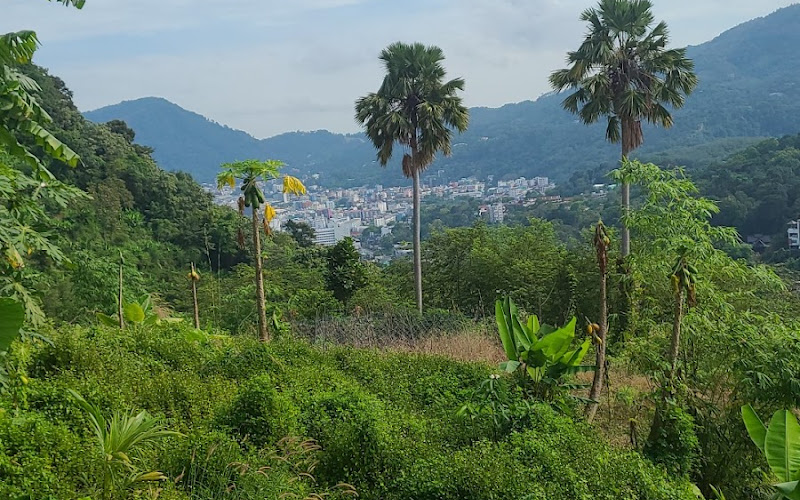 Khun Pradit house viewpoint and food