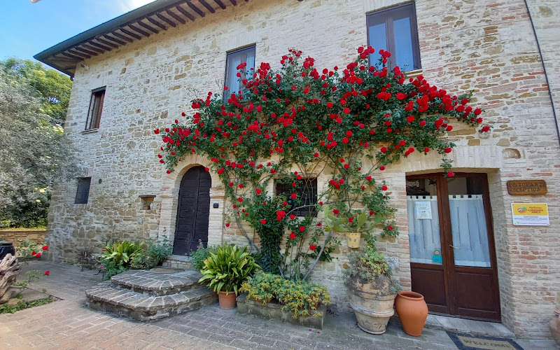 Agriturismo il Podere di Petrignano di Assisi