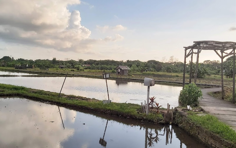 Wisata Edukasi Subak Teba Majalangu