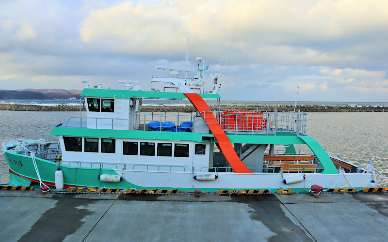 유빙 관광 쇄빙선 오로라