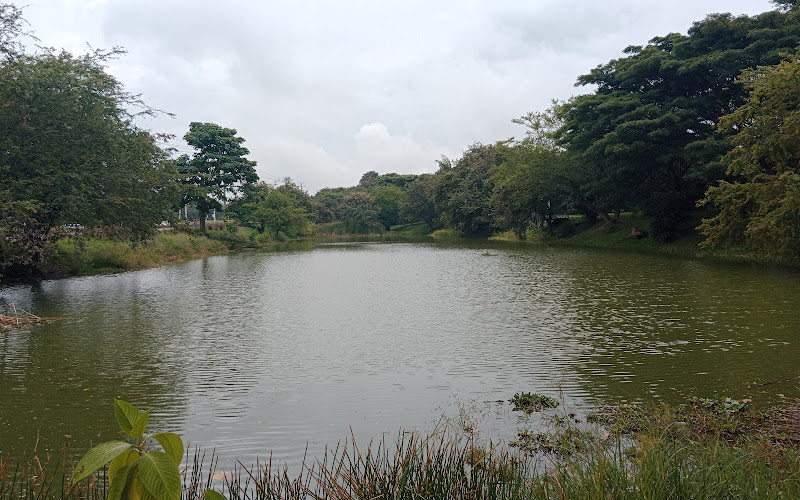 Humedal Panamericano