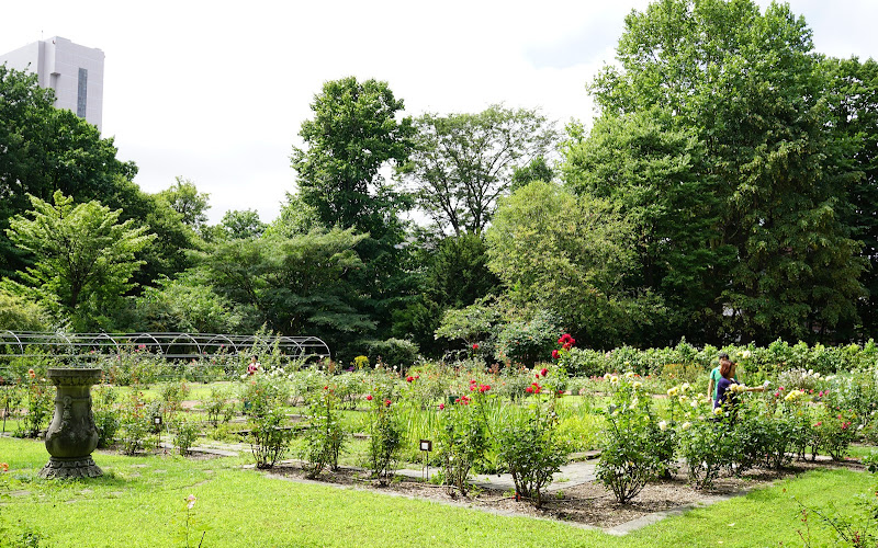 北海道大學植物園