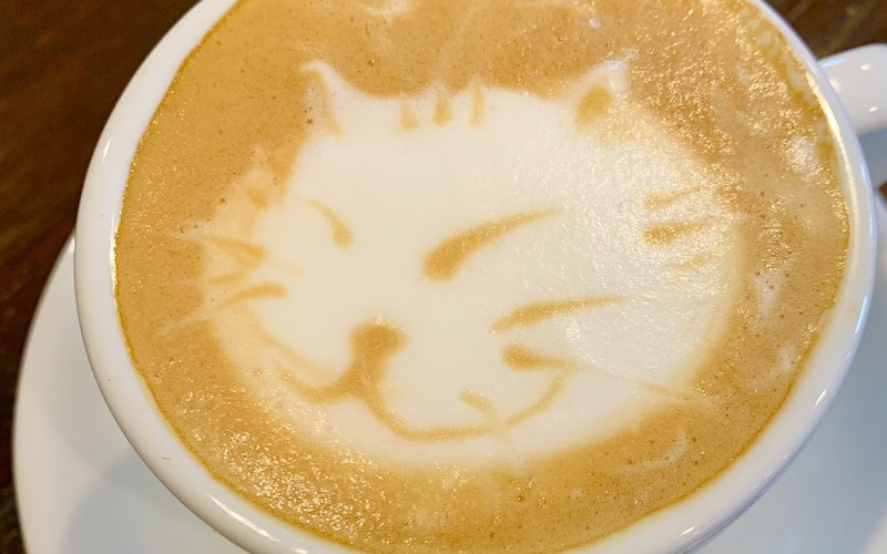 ronroneo cafe