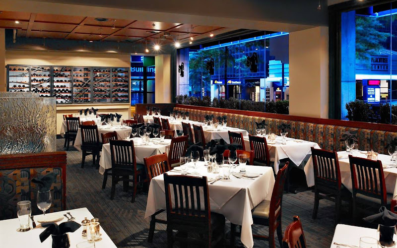 레이스 인 더 시티