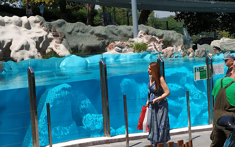 Đura Jakšić's House