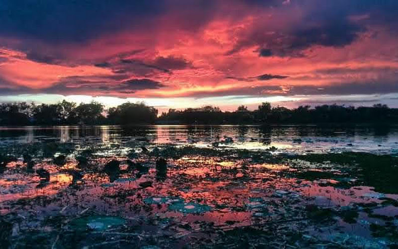 สวนสาธารณะบึงสวาง