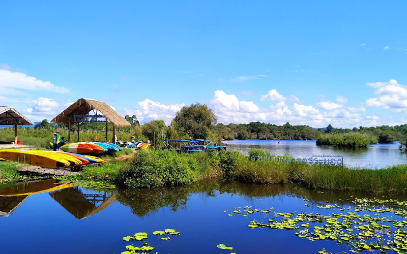 Rayong Botanical Garden (Aquatic Plants and Living Collection)