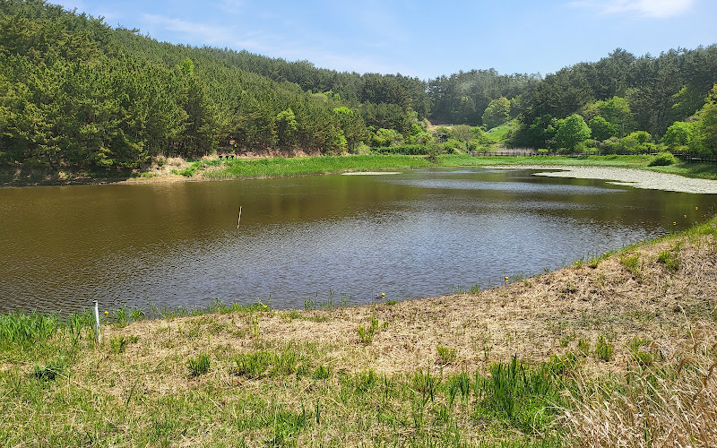 Doowoong Wetland