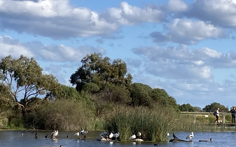 Jawbone Flora and Fauna Reserve