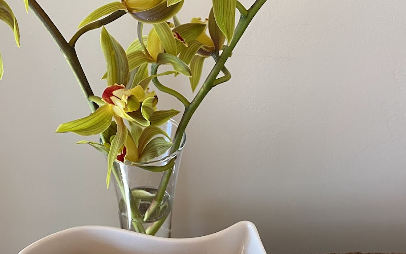 Asoka Plant Based Market