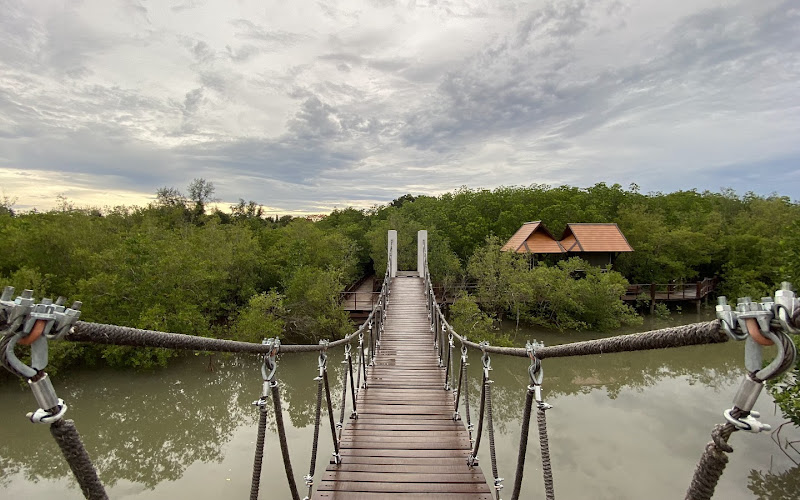 Mangrove Forest Park