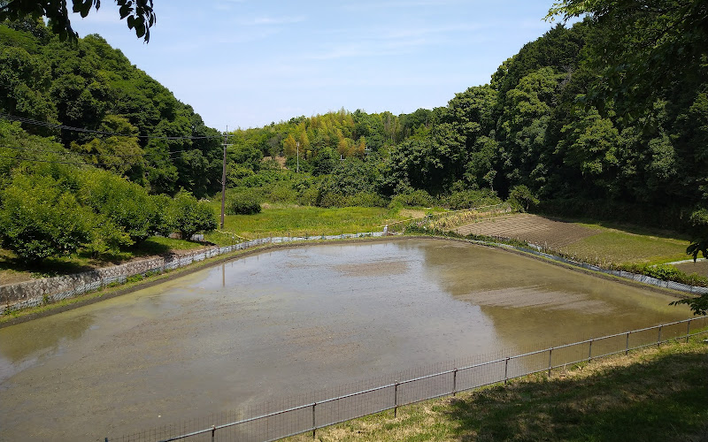 山辺の道・狭井神社寄り