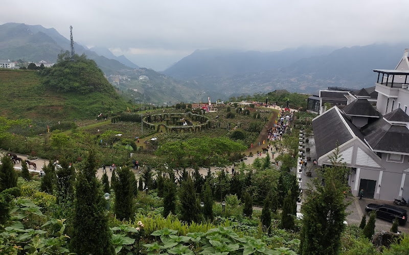 Vườn Hồng Cổ Sa Pa