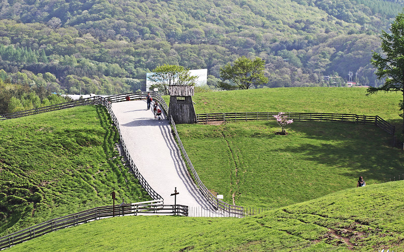 대관령 양떼목장 입구