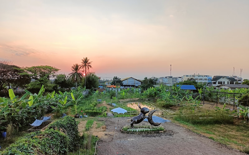 Suan Phli Bai | สวนผลิใบ พื้นที่เรียนรู้กสิกรรมธรรมชาติ