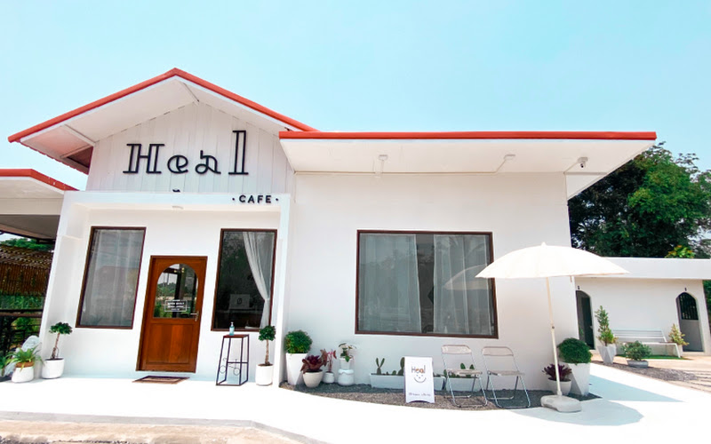 My healing Cafe