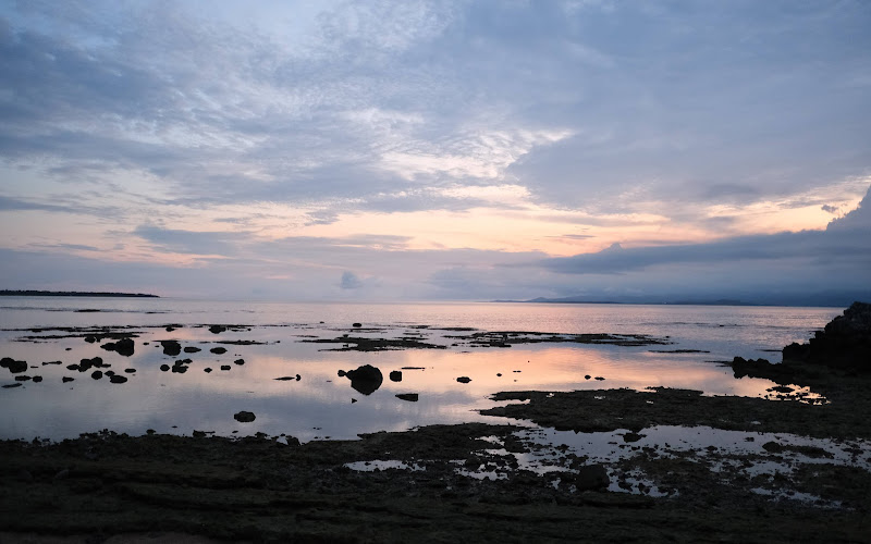 관음(観音) 비치