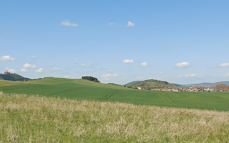 Am Riesenlöffel Nature Reserve
