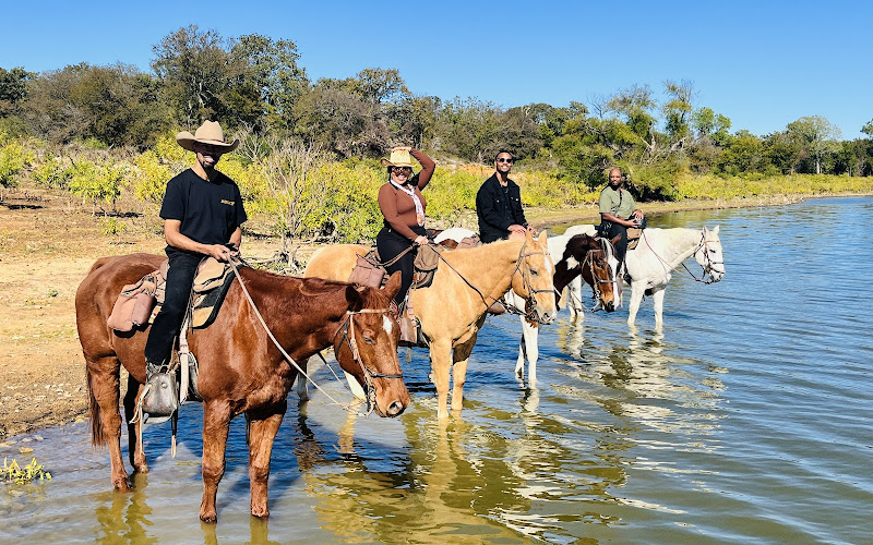 Widowmaker Trail Rides