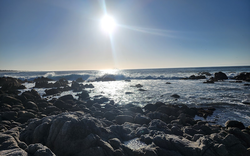 The Great Tide Pool