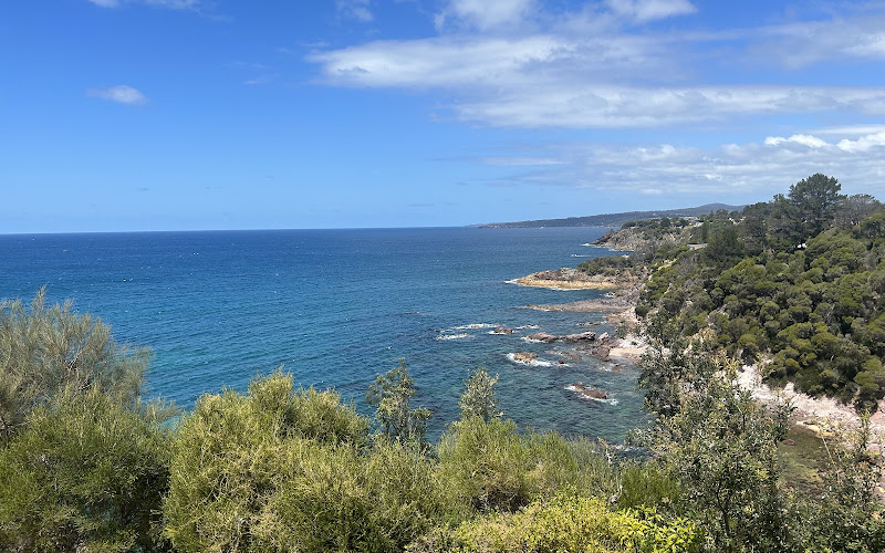 Whale Watching platform