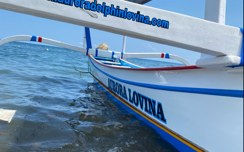 Aurora Dolphin Lovina