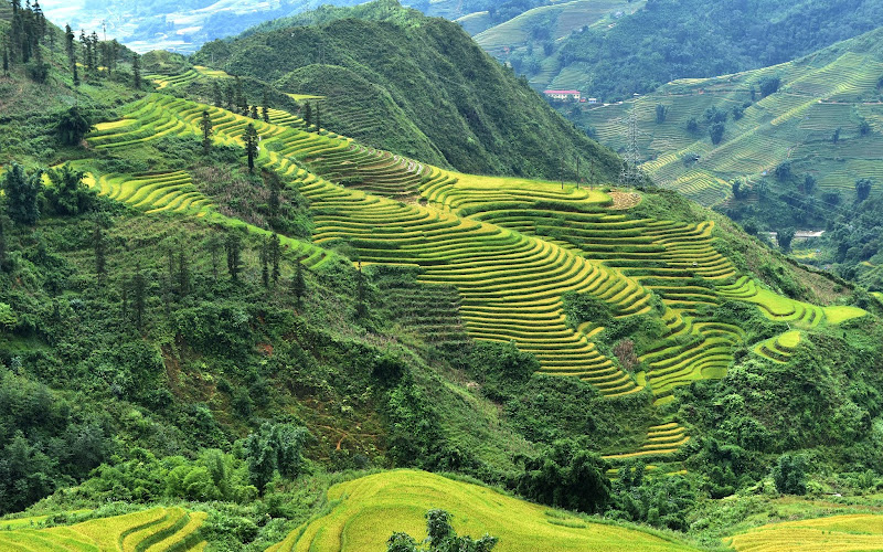 Lao Chai Valley View