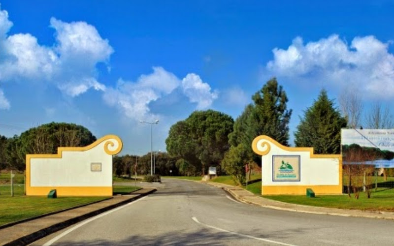 Montalvo - Construção E Habitação, C.R.L.