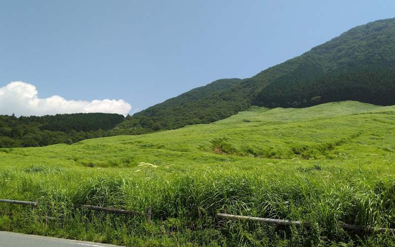 Sengokuhara Wetland Plant Community